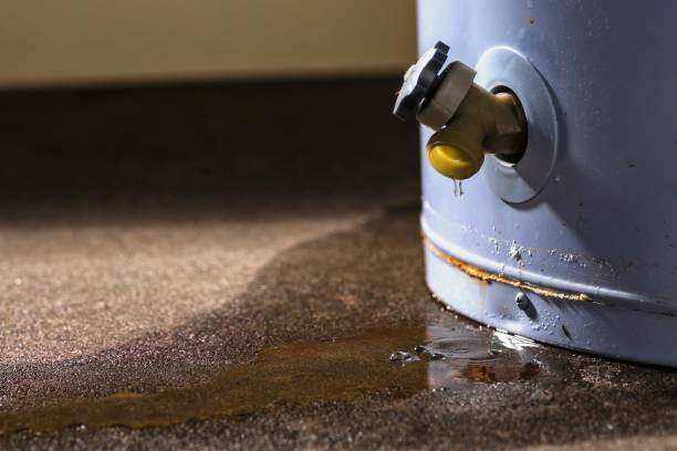 Best Emergency water damage restoration  in Ellis, KS