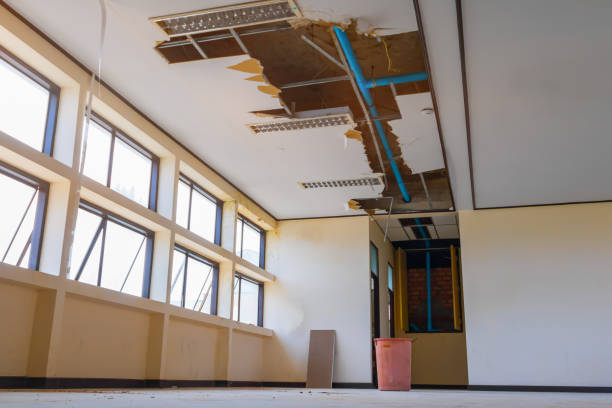 Best Water damage restoration specialists  in Ellis, KS