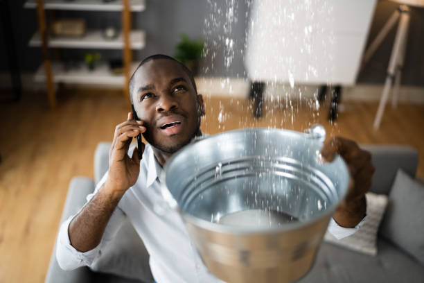 Best Sewage cleanup and water damage restoration  in Ellis, KS