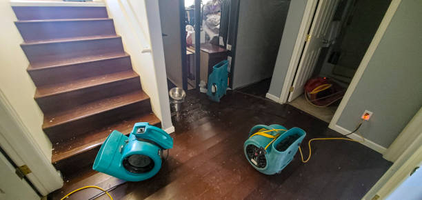 Best Water damage restoration near me  in Ellis, KS