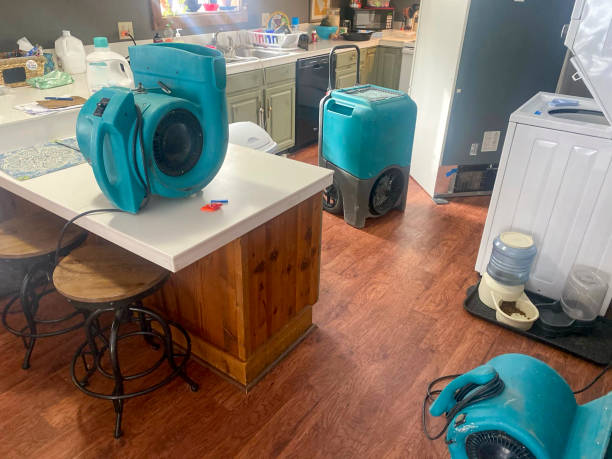 Best Water damage cleanup near me  in Ellis, KS