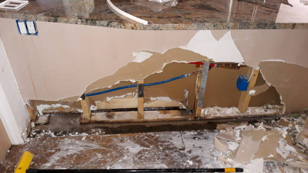 Best Flood damage cleanup  in Ellis, KS