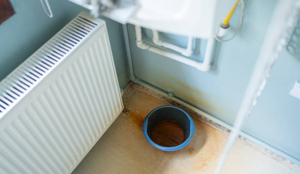 Best Water damage restoration near me  in Ellis, KS