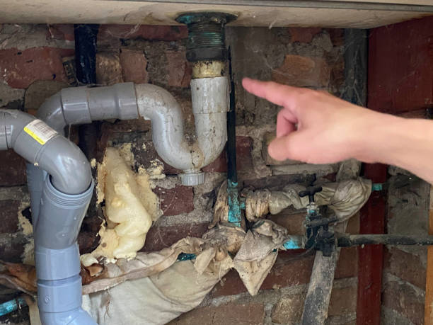 Best Ceiling water damage repair  in Ellis, KS